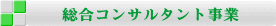 総合コンサルタント事業